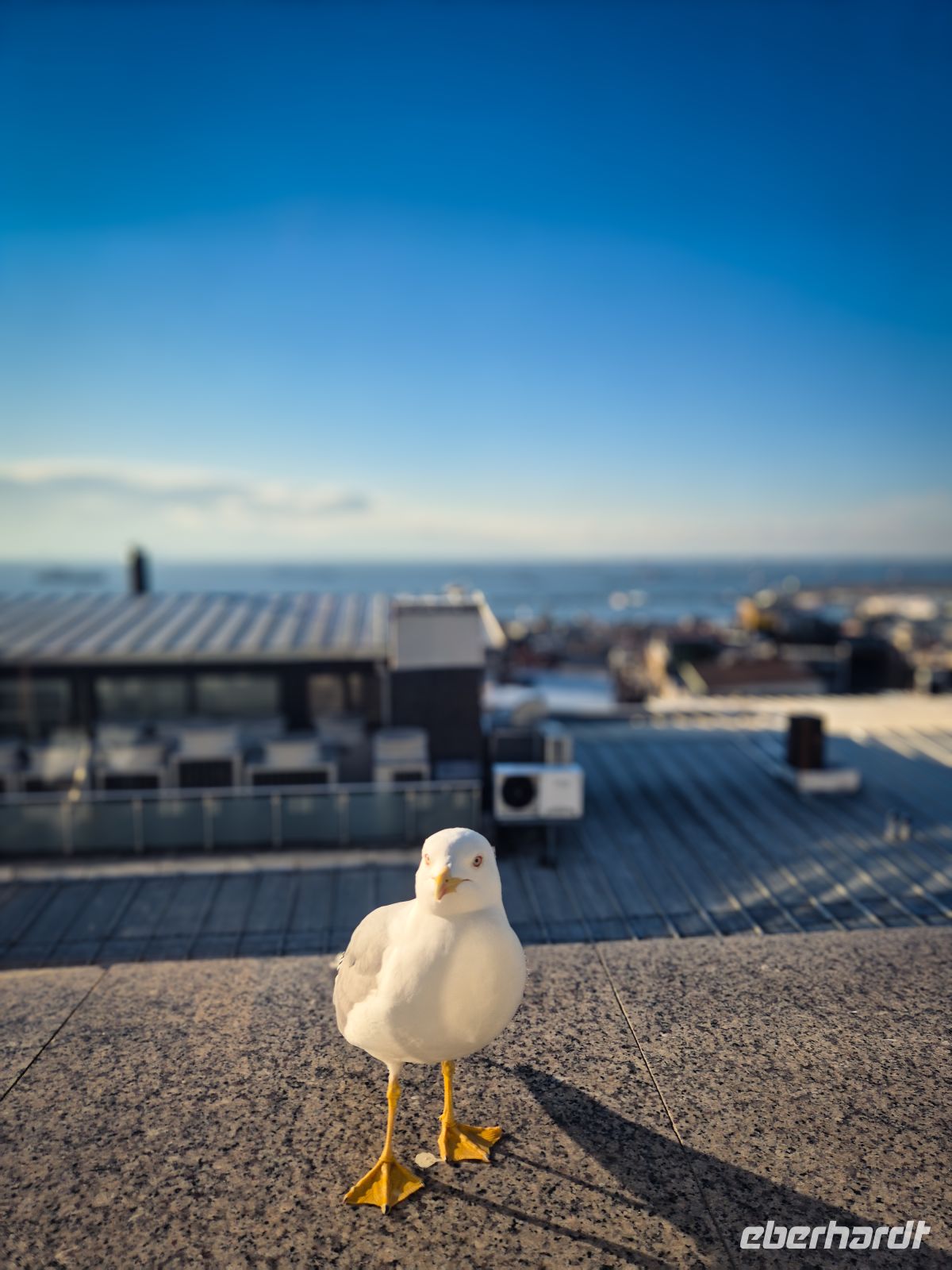Aussicht von unserem Hotelrestaurant Istanbul - Türkei