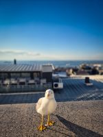 Aussicht von unserem Hotelrestaurant Istanbul - Türkei