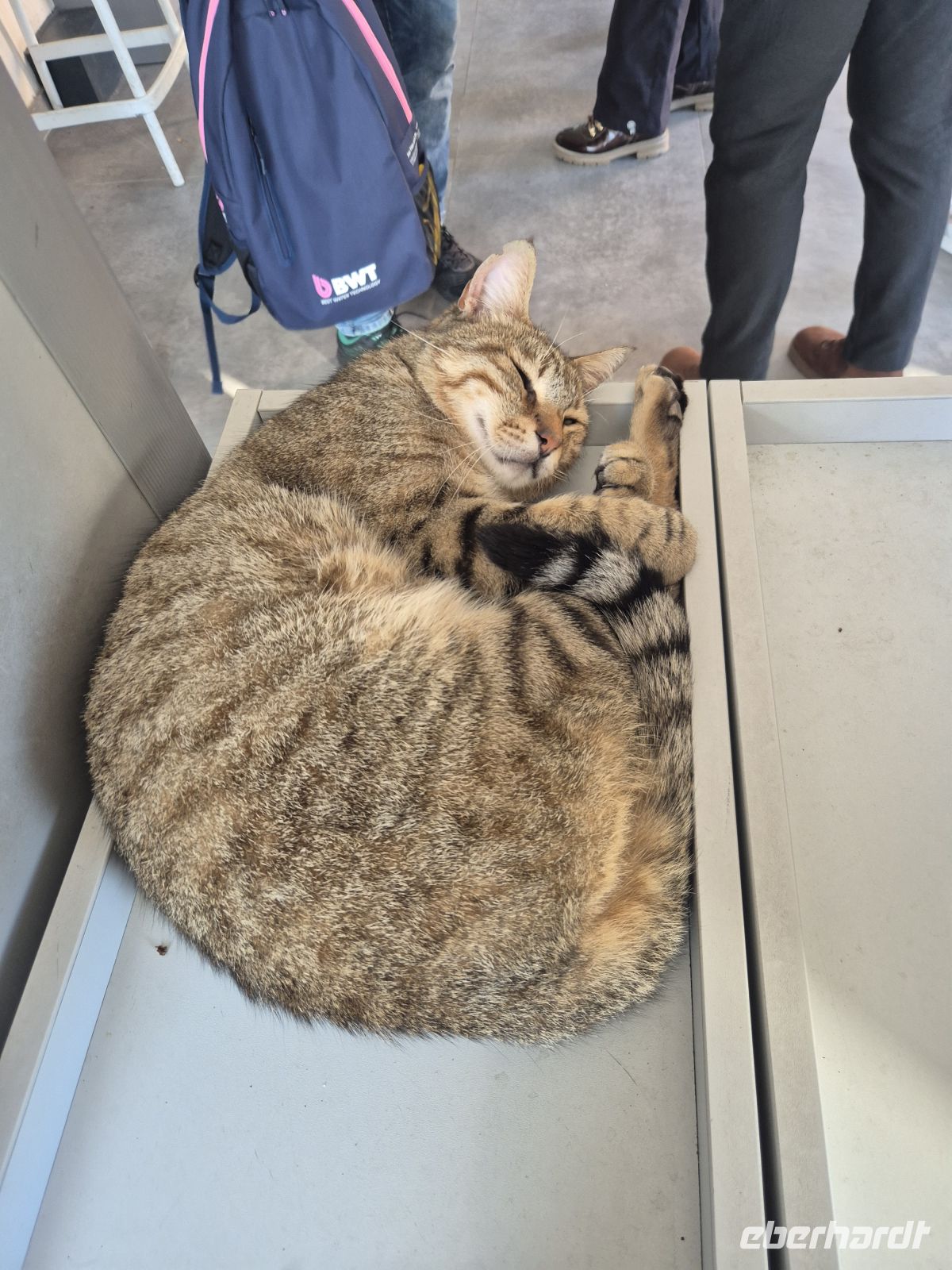Chora Kloster Istanbul - Türkei 