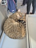 Chora Kloster Istanbul - Türkei 