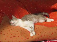 in der warmen Mittagssonne