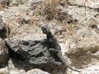 wenn man genau hinschaut entdeckt man so einiges