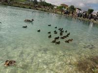 vor den Kalksteinterrassen von Pamukkale