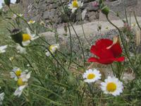 antiken Ausgrabung von Pergamon