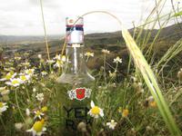 Rakirunde bei den antiken Ausgrabung von Pergamon