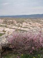 Während der Wanderung im Cat-Tal