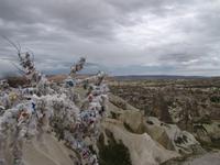 Wunschbaum hoch über den Feenkaminen