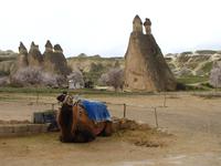 Feenkamine in Pasabag