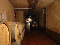 Weinkeller der Firma Turasan