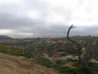 Ballons am morgendlichen Himmel