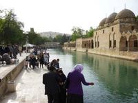 Halil-Rahman-Medrese mit den legendären Karpfenteichen