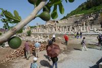 das Odeion in Ephesos