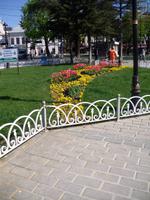 Tulpenpracht in Istanbul