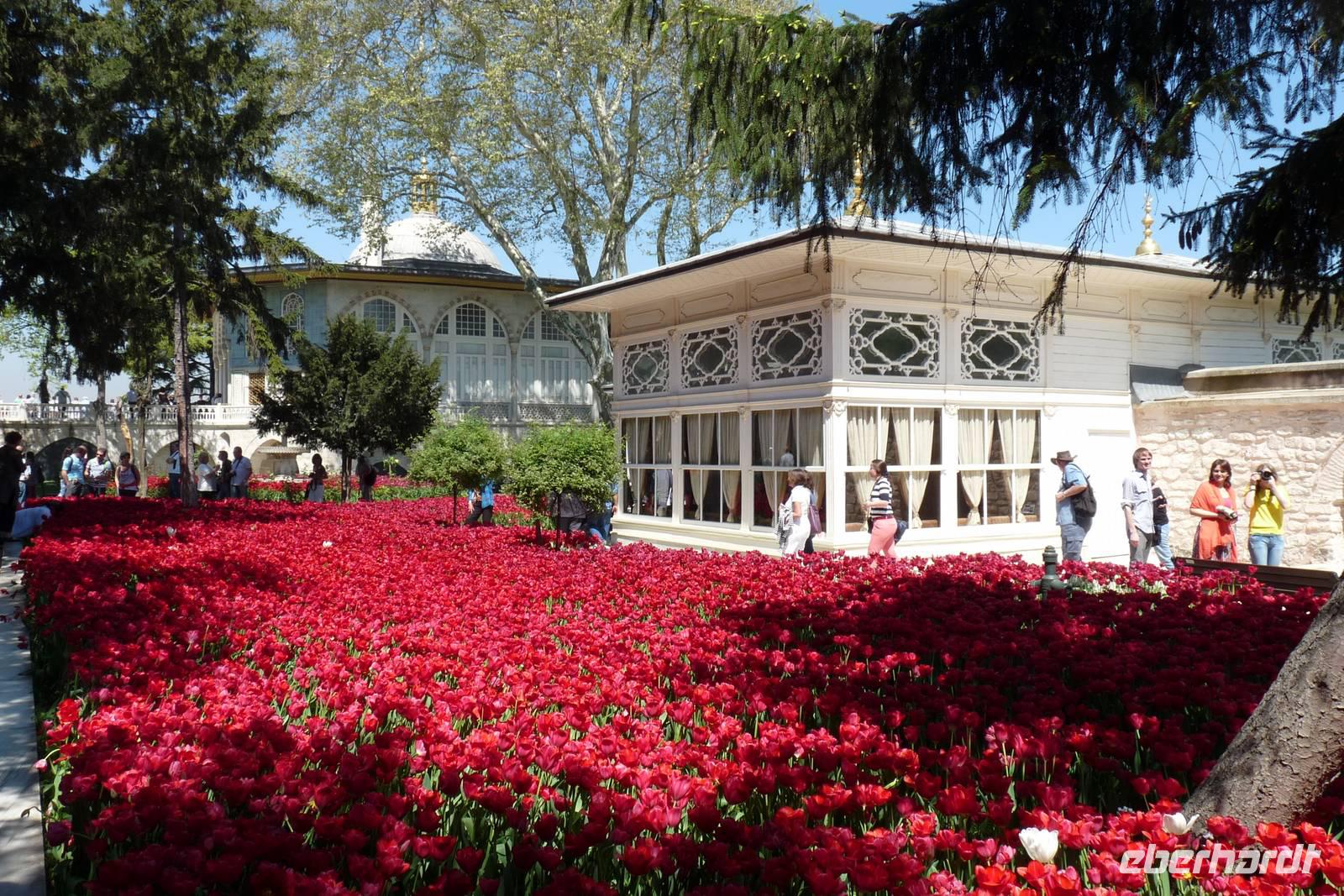 Tulpenblüte im Topkapi-Palast
