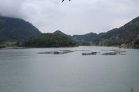 Fischzucht in einem Stausee