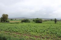 Panoramablick bei den Löwenfelsen