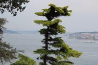 Blick vom Topkapi Palast