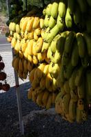 türkische Bananen