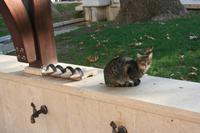 vor der Großen Moschee von Bursa