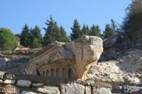 Säulenkapitell mit Stiekopf in Ephesus