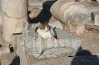 kleiner Tempelwächter in Ephesus