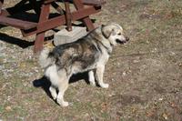 unsere Gesellschaft beim Börek-Essen