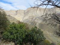 im türkisch-georgischen Grenzgebiet