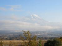 Ararat am Morgen