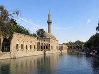 Abrahamsteich Urfa