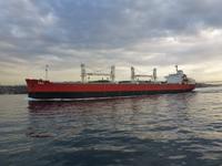 Große Frachter kreuzen unseren Weg auf dem Bosporus