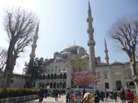 Blaue Moschee, Istanbul