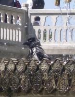 Topkapi-Palast, Istanbul