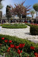 Vor der Blauen Moschee