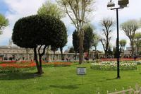 Vor der Blauen Moschee