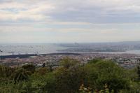 Blick auf Istanbul vom Tannenhügel