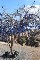 Geschmückter Baum mit Nazar-Amuletten
