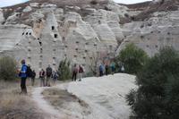 Reisegäste in Gomeda