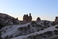 Kamel in Kappadokien