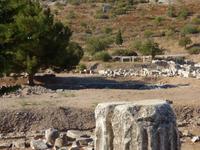 Ephesus