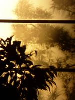 Sonnenaufgang // am Flughafen Antalya