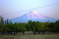 21.10.11 Ararat
