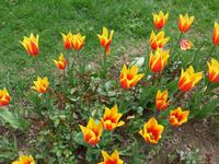 Türkei, Istanbul, Stadtrundgang