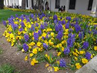 Türkei, Istanbul, Stadtrundgang,  im Topkapi-Palast