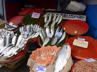 Türkei, Istanbul, Stadtrundgang, Fischmarkt im Galata-Viertel