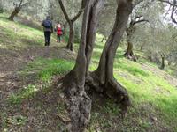 Türkei, Adatepe, Wanderung zum Wasserfall