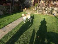 Türkei, Adatepe, Hotel Hünnap Han