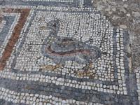 Türkei, Ephesus, Mosaik