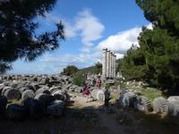 Türkei, Priene, Athena Polias Tempel