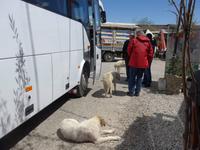 Türkei, Mittagspause Gözleme