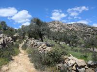 Türkei, Wanderung von Gölyaka zum Kloster